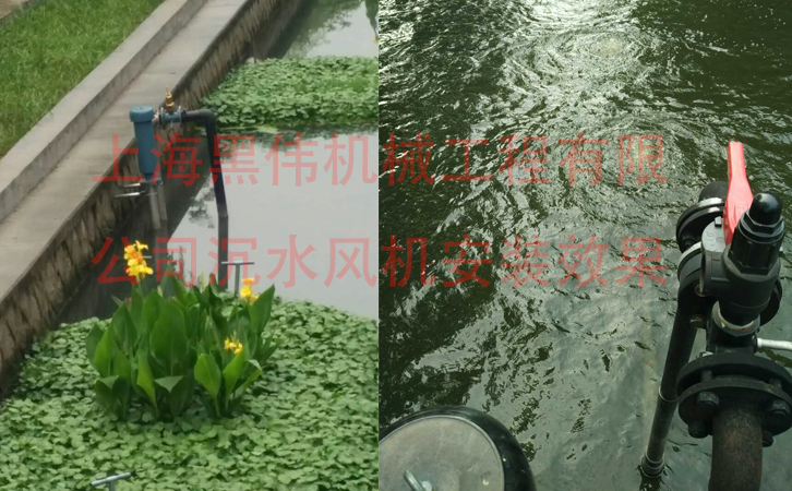 沉水麻豆AV免费看在施工现场如何安装？